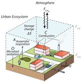 Direct measurement of greenhouse gas exchange in urban ecosystems